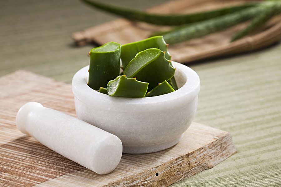 Aloe vera