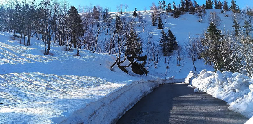 Kullu Manali Honeymoon Trip